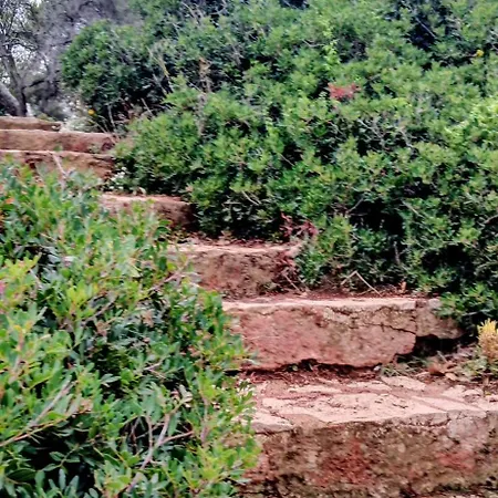 Port Santa Lucia Apartment *